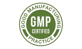 fast brain booster gmp certified